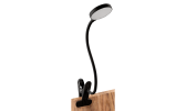 Wandleuchten