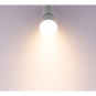 morepic-4