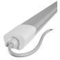 morepic-5