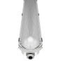morepic-5