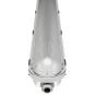 morepic-5