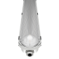 morepic-5