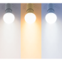 morepic-5