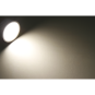 morepic-5