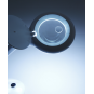 morepic-5