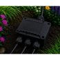 morepic-6