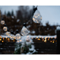 morepic-6