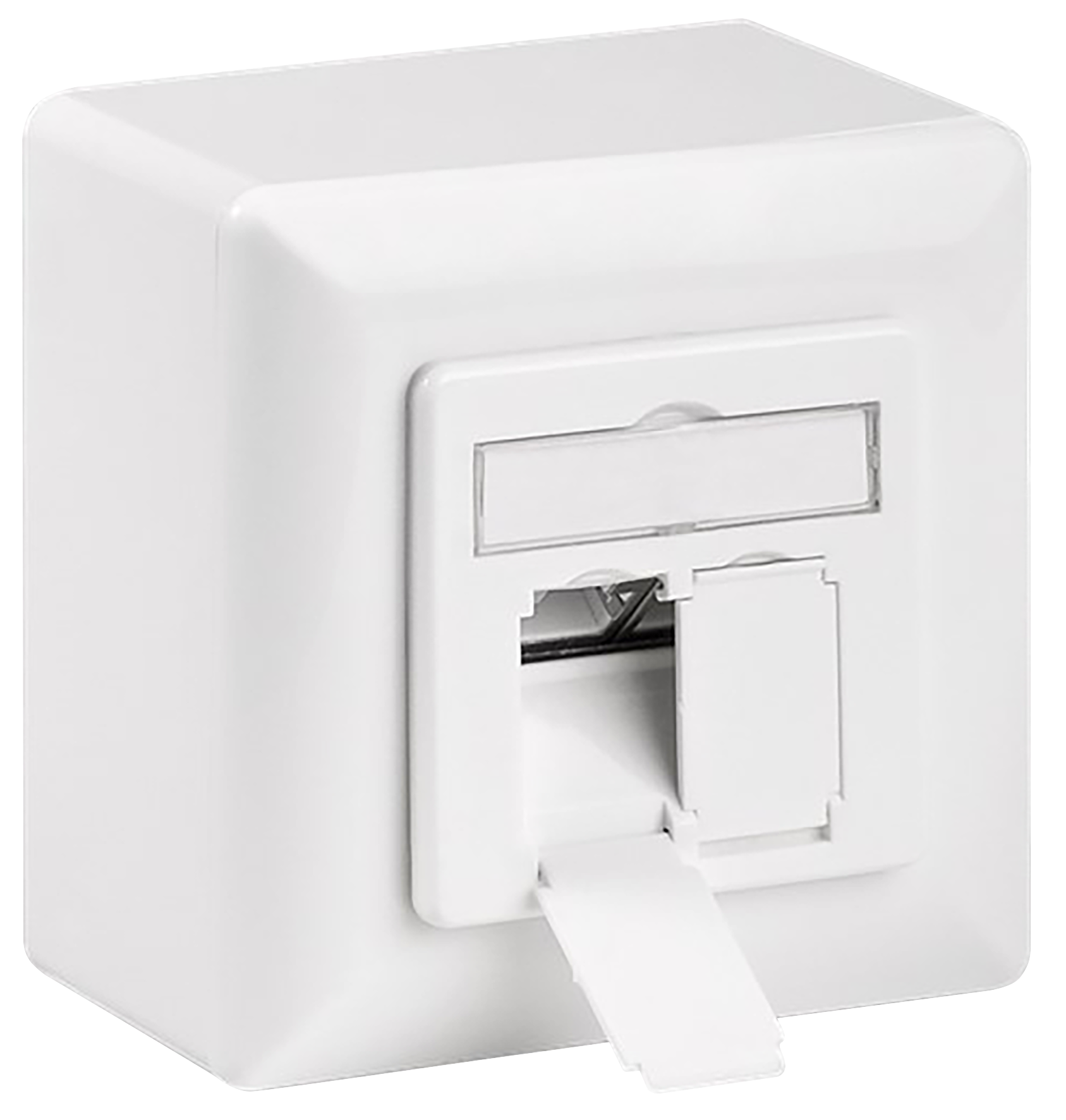 Netzwerkdose, Aufputz, CAT 6, 2x RJ45 ETT der Elektronik und
